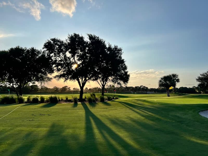 Pine-framed fairways at Gloria Serenity, Antalya